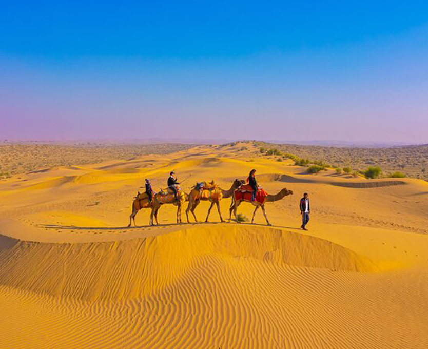 Sightseeing in Jaisalmer & Desert Safari